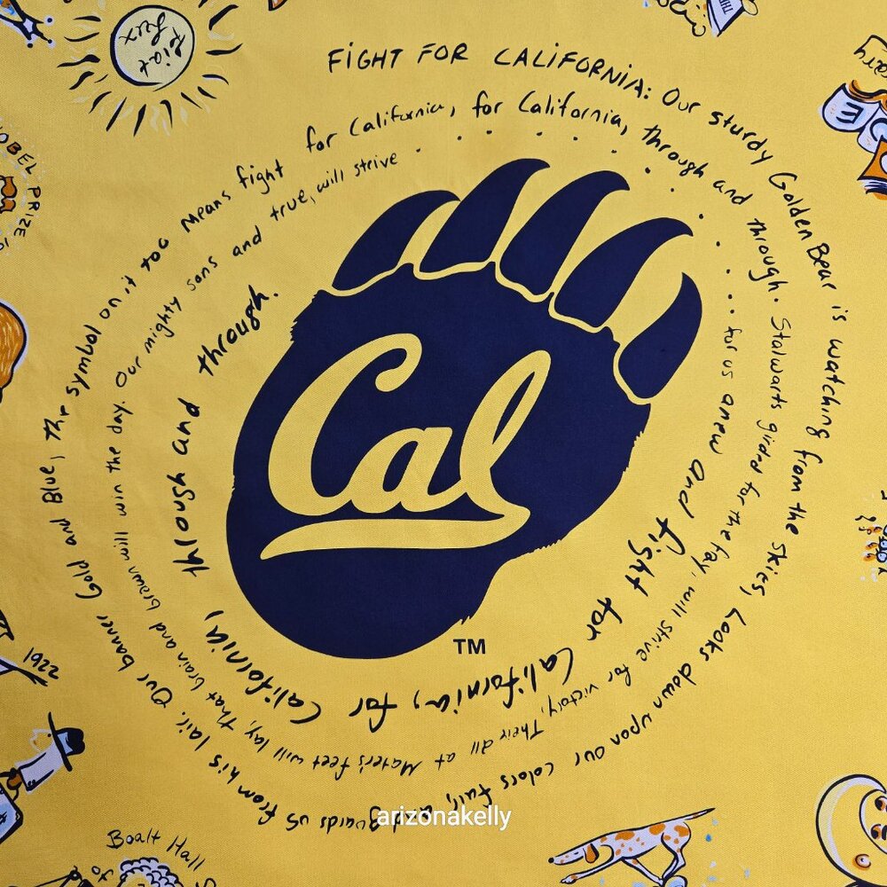 RARE UC Berkeley 100% Silk Scarf Hand-Rolled Aksesaré 2004 Collectible - Picture 9 of 12
